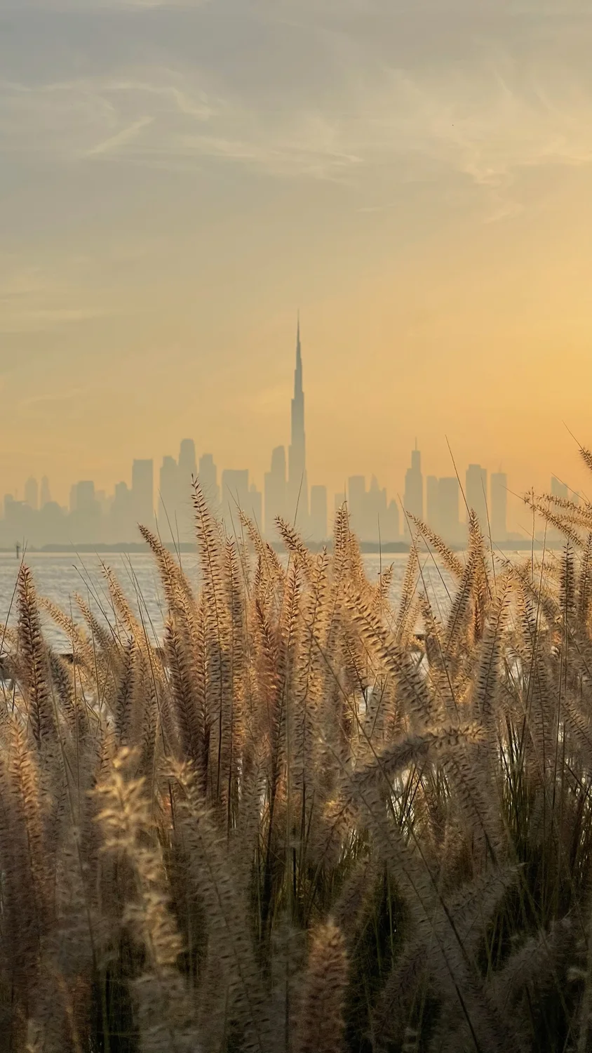 Dubai skyline at sunset